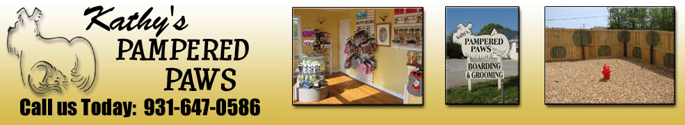 Clarksville Pet Grooming